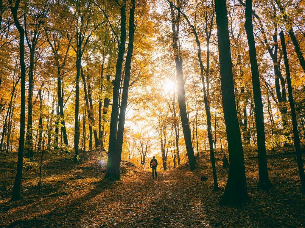 Foto von Aaron Burden auf Unsplash, 01.03.2024
