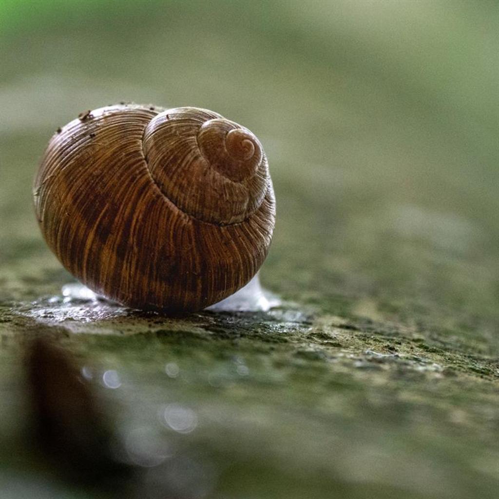 Copyright by Geerling Fotografie 