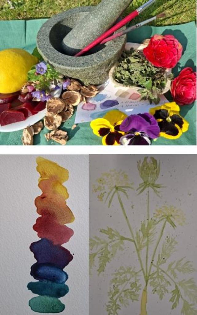 Blüten um einen Mörser hingelegt aus deren Farben Wasserfarben entstehen